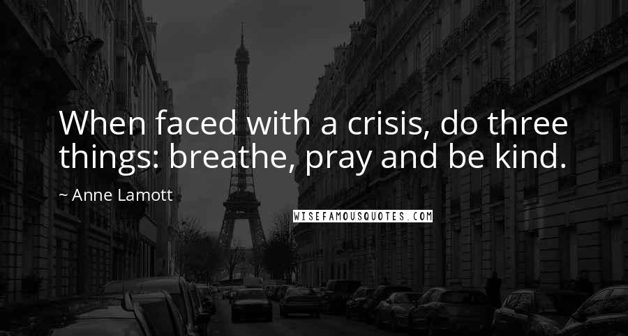 Anne Lamott Quotes: When faced with a crisis, do three things: breathe, pray and be kind.
