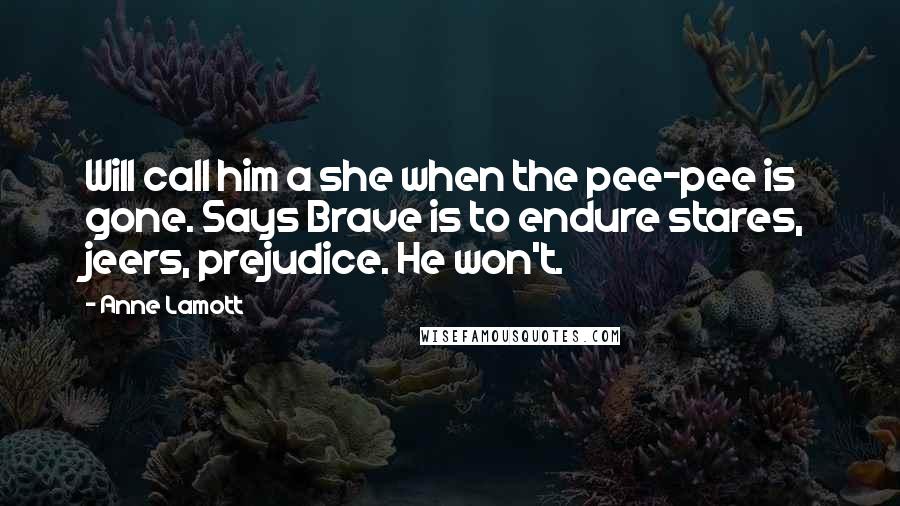 Anne Lamott Quotes: Will call him a she when the pee-pee is gone. Says Brave is to endure stares, jeers, prejudice. He won't.