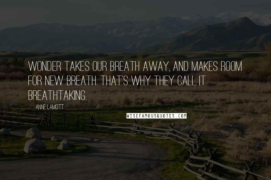 Anne Lamott Quotes: Wonder takes our breath away, and makes room for new breath. That's why they call it breathtaking.