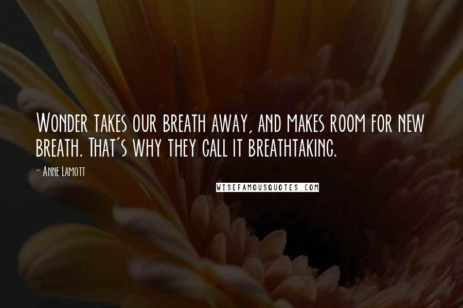 Anne Lamott Quotes: Wonder takes our breath away, and makes room for new breath. That's why they call it breathtaking.
