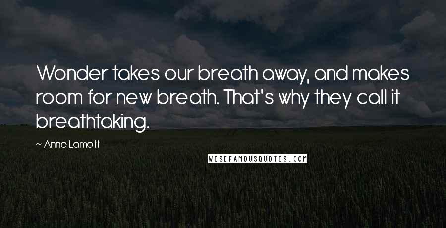 Anne Lamott Quotes: Wonder takes our breath away, and makes room for new breath. That's why they call it breathtaking.