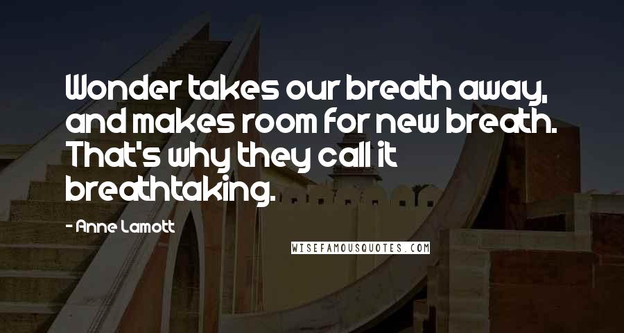 Anne Lamott Quotes: Wonder takes our breath away, and makes room for new breath. That's why they call it breathtaking.