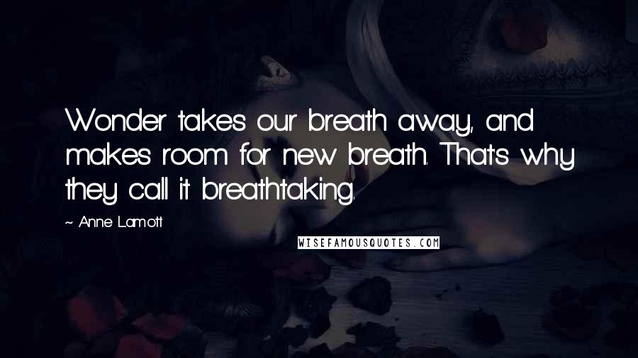 Anne Lamott Quotes: Wonder takes our breath away, and makes room for new breath. That's why they call it breathtaking.