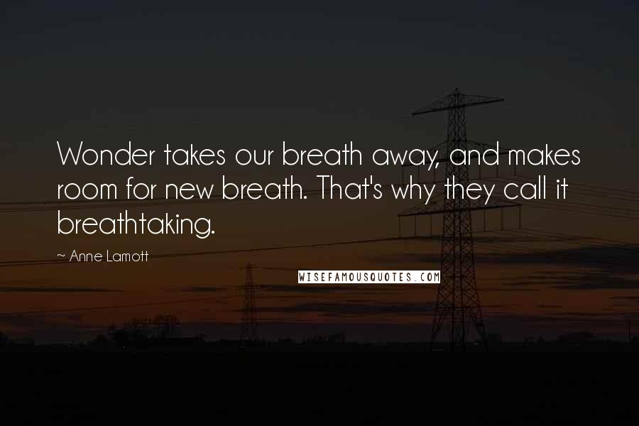 Anne Lamott Quotes: Wonder takes our breath away, and makes room for new breath. That's why they call it breathtaking.