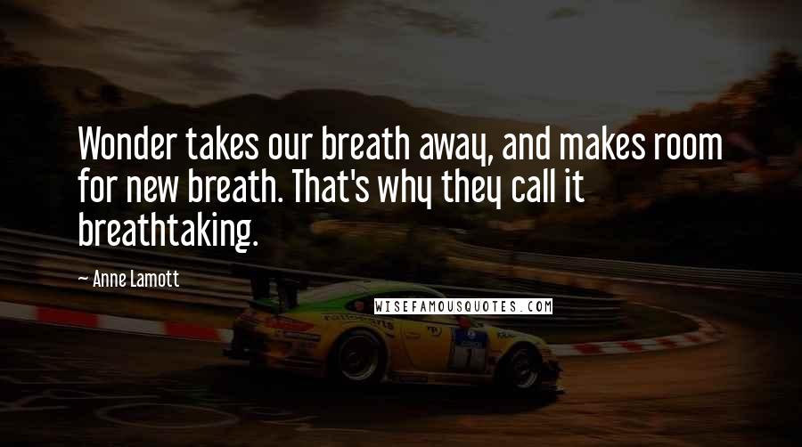 Anne Lamott Quotes: Wonder takes our breath away, and makes room for new breath. That's why they call it breathtaking.