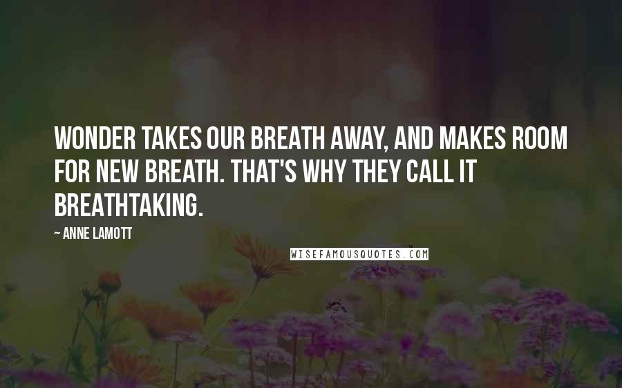 Anne Lamott Quotes: Wonder takes our breath away, and makes room for new breath. That's why they call it breathtaking.