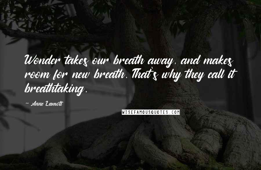 Anne Lamott Quotes: Wonder takes our breath away, and makes room for new breath. That's why they call it breathtaking.