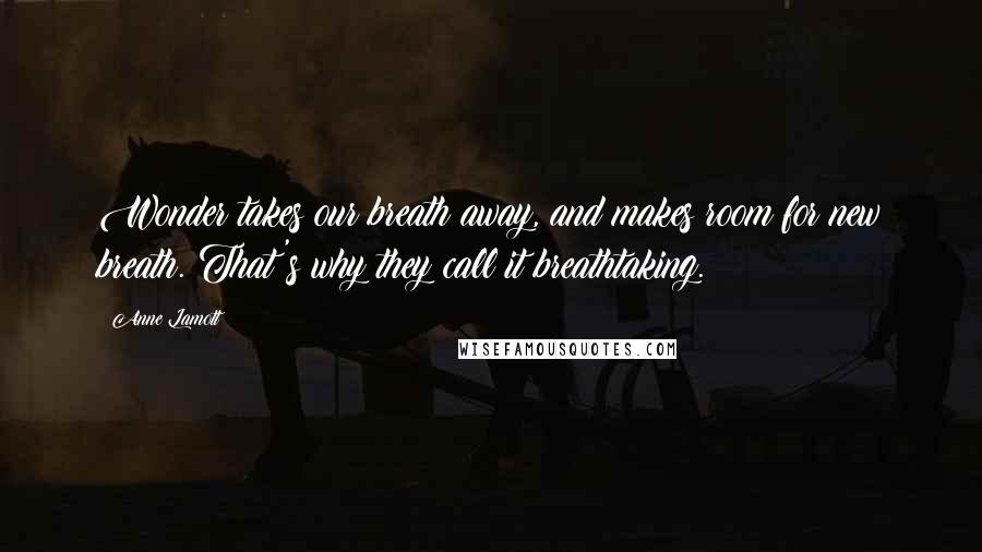 Anne Lamott Quotes: Wonder takes our breath away, and makes room for new breath. That's why they call it breathtaking.