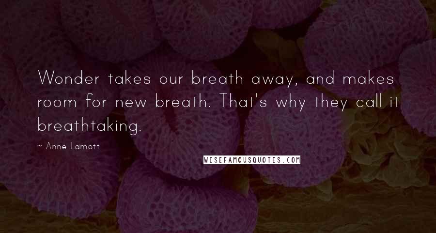 Anne Lamott Quotes: Wonder takes our breath away, and makes room for new breath. That's why they call it breathtaking.