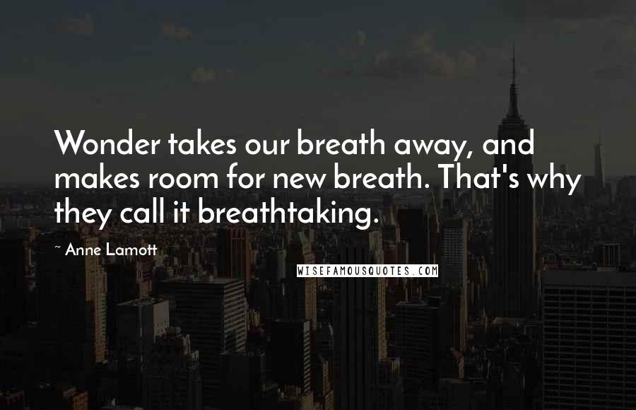 Anne Lamott Quotes: Wonder takes our breath away, and makes room for new breath. That's why they call it breathtaking.