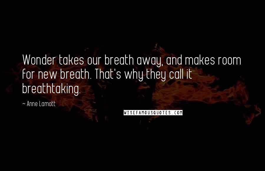 Anne Lamott Quotes: Wonder takes our breath away, and makes room for new breath. That's why they call it breathtaking.