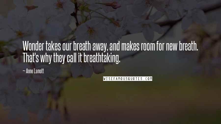 Anne Lamott Quotes: Wonder takes our breath away, and makes room for new breath. That's why they call it breathtaking.