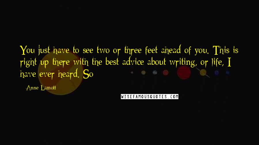 Anne Lamott Quotes: You just have to see two or three feet ahead of you. This is right up there with the best advice about writing, or life, I have ever heard. So