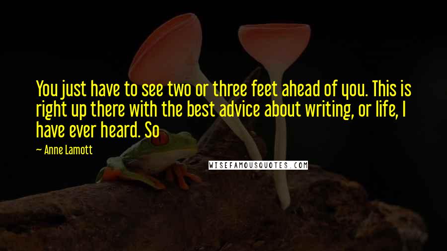 Anne Lamott Quotes: You just have to see two or three feet ahead of you. This is right up there with the best advice about writing, or life, I have ever heard. So