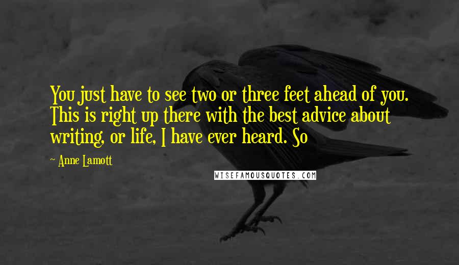 Anne Lamott Quotes: You just have to see two or three feet ahead of you. This is right up there with the best advice about writing, or life, I have ever heard. So