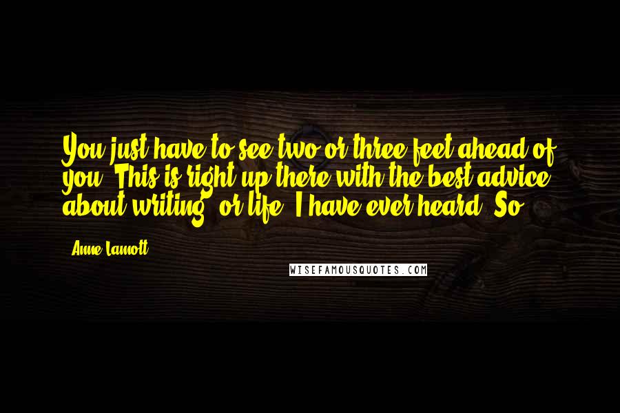 Anne Lamott Quotes: You just have to see two or three feet ahead of you. This is right up there with the best advice about writing, or life, I have ever heard. So