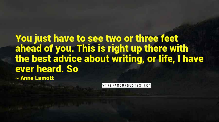 Anne Lamott Quotes: You just have to see two or three feet ahead of you. This is right up there with the best advice about writing, or life, I have ever heard. So