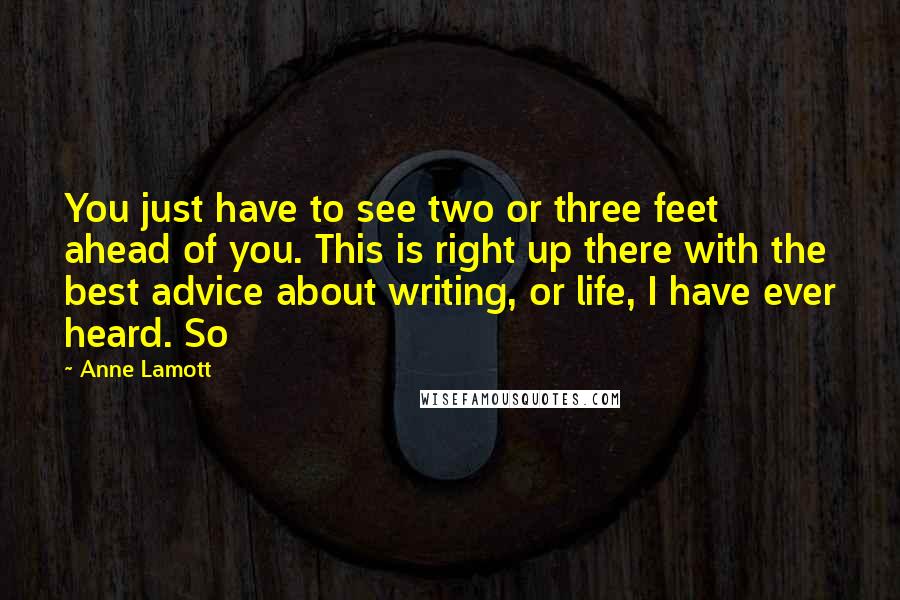 Anne Lamott Quotes: You just have to see two or three feet ahead of you. This is right up there with the best advice about writing, or life, I have ever heard. So