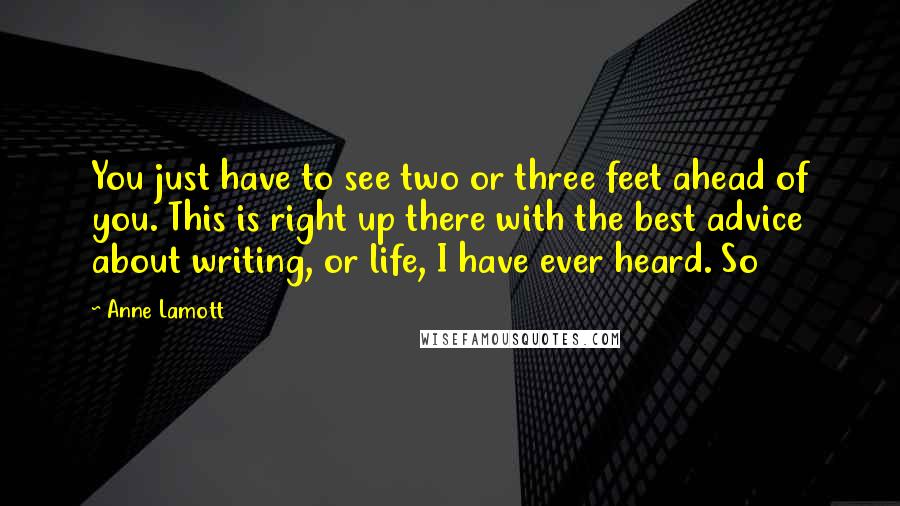 Anne Lamott Quotes: You just have to see two or three feet ahead of you. This is right up there with the best advice about writing, or life, I have ever heard. So