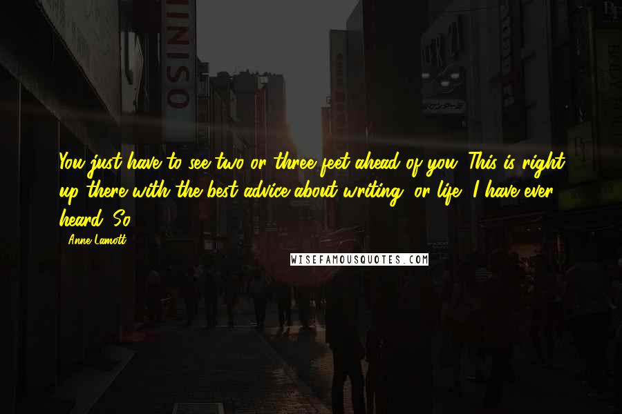 Anne Lamott Quotes: You just have to see two or three feet ahead of you. This is right up there with the best advice about writing, or life, I have ever heard. So