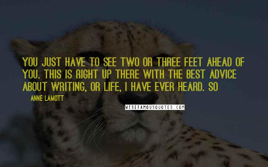 Anne Lamott Quotes: You just have to see two or three feet ahead of you. This is right up there with the best advice about writing, or life, I have ever heard. So