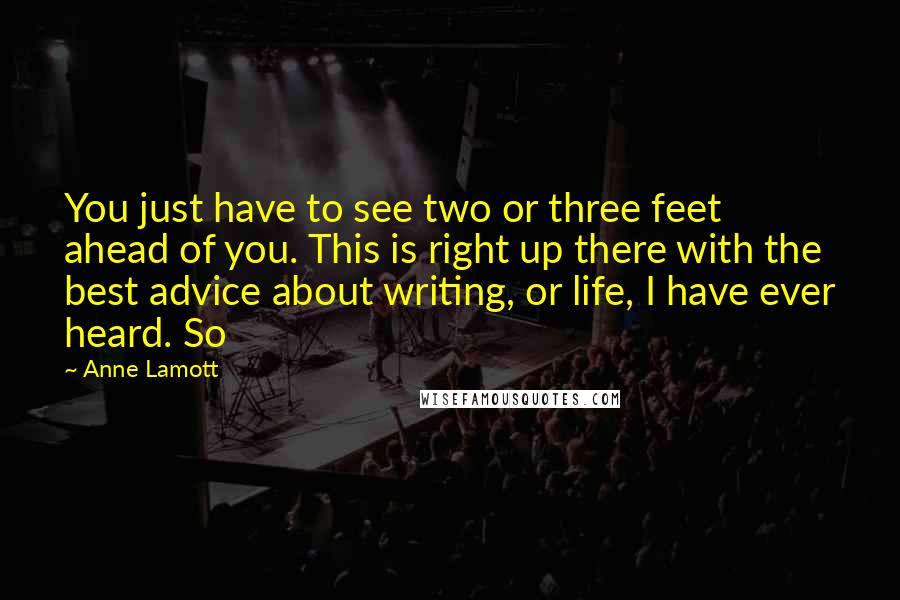 Anne Lamott Quotes: You just have to see two or three feet ahead of you. This is right up there with the best advice about writing, or life, I have ever heard. So