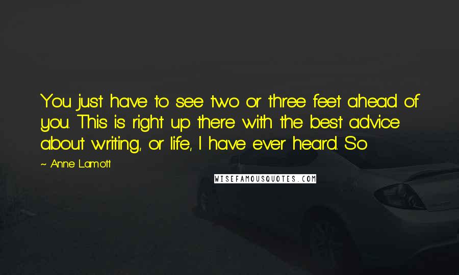 Anne Lamott Quotes: You just have to see two or three feet ahead of you. This is right up there with the best advice about writing, or life, I have ever heard. So