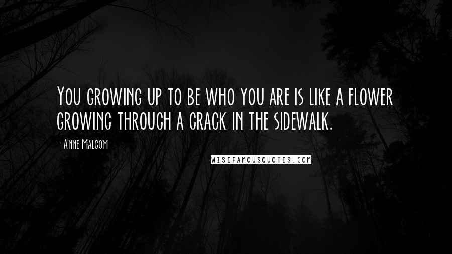 Anne Malcom Quotes: You growing up to be who you are is like a flower growing through a crack in the sidewalk.