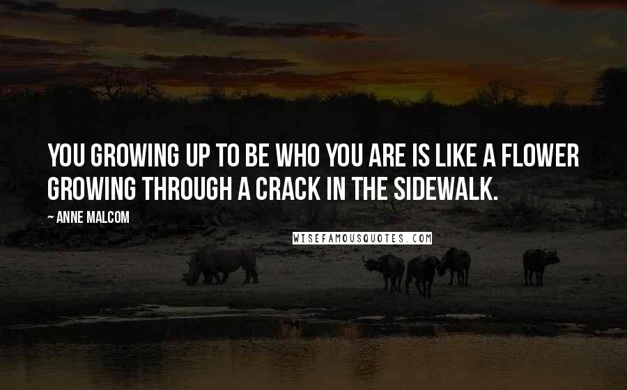 Anne Malcom Quotes: You growing up to be who you are is like a flower growing through a crack in the sidewalk.