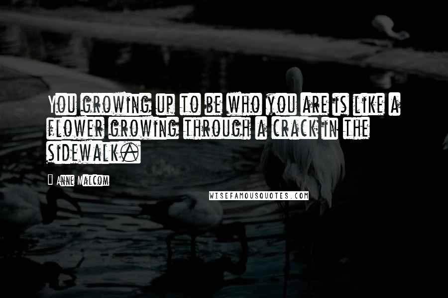 Anne Malcom Quotes: You growing up to be who you are is like a flower growing through a crack in the sidewalk.