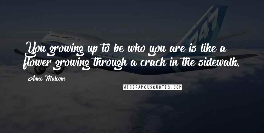 Anne Malcom Quotes: You growing up to be who you are is like a flower growing through a crack in the sidewalk.