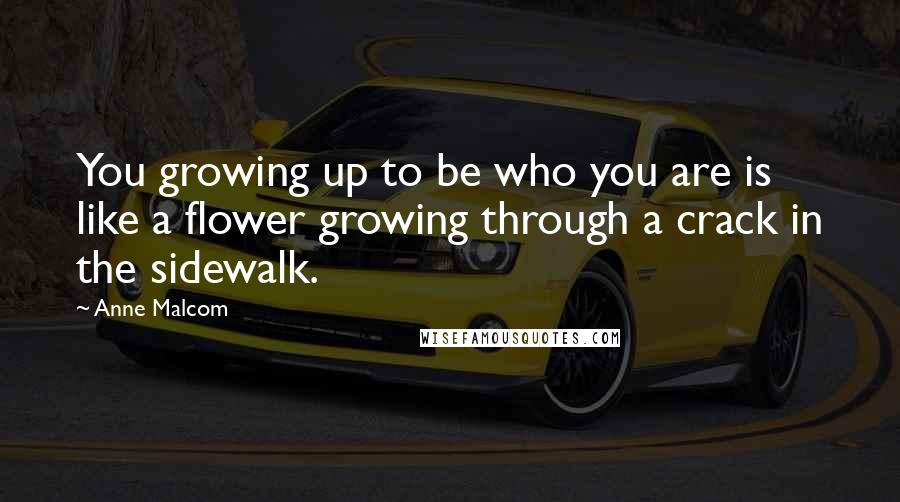 Anne Malcom Quotes: You growing up to be who you are is like a flower growing through a crack in the sidewalk.
