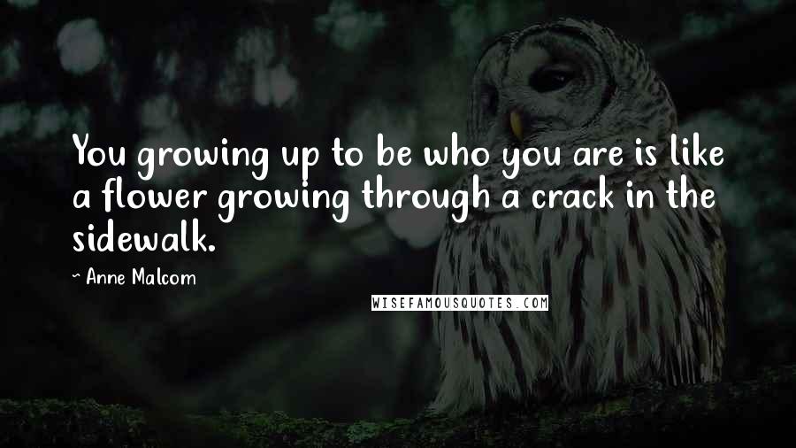 Anne Malcom Quotes: You growing up to be who you are is like a flower growing through a crack in the sidewalk.