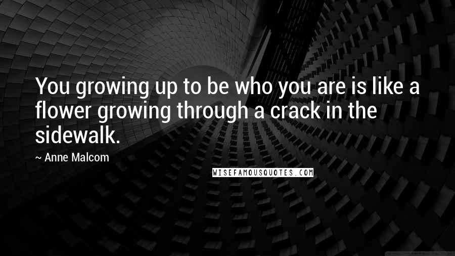 Anne Malcom Quotes: You growing up to be who you are is like a flower growing through a crack in the sidewalk.