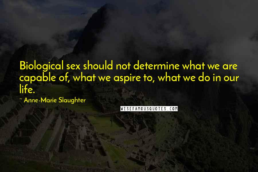 Anne-Marie Slaughter Quotes: Biological sex should not determine what we are capable of, what we aspire to, what we do in our life.