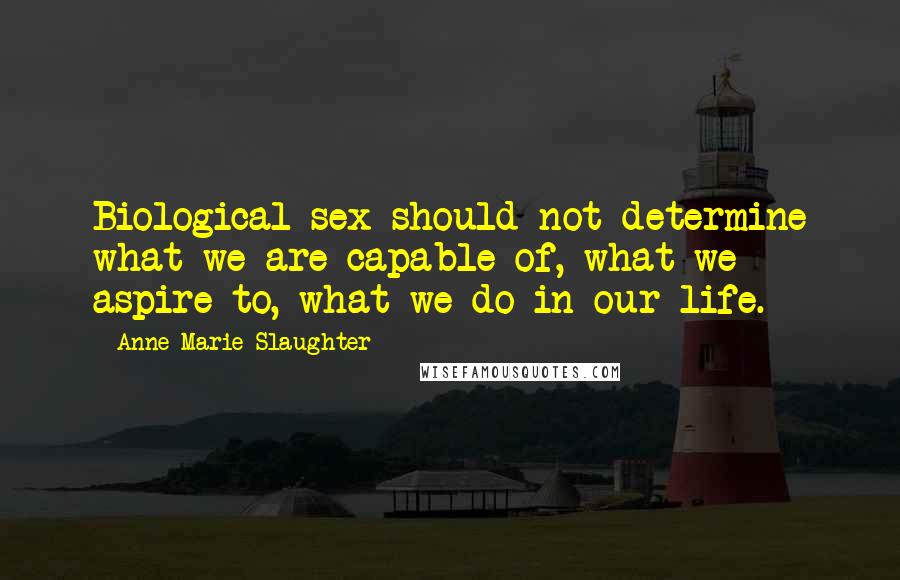 Anne-Marie Slaughter Quotes: Biological sex should not determine what we are capable of, what we aspire to, what we do in our life.