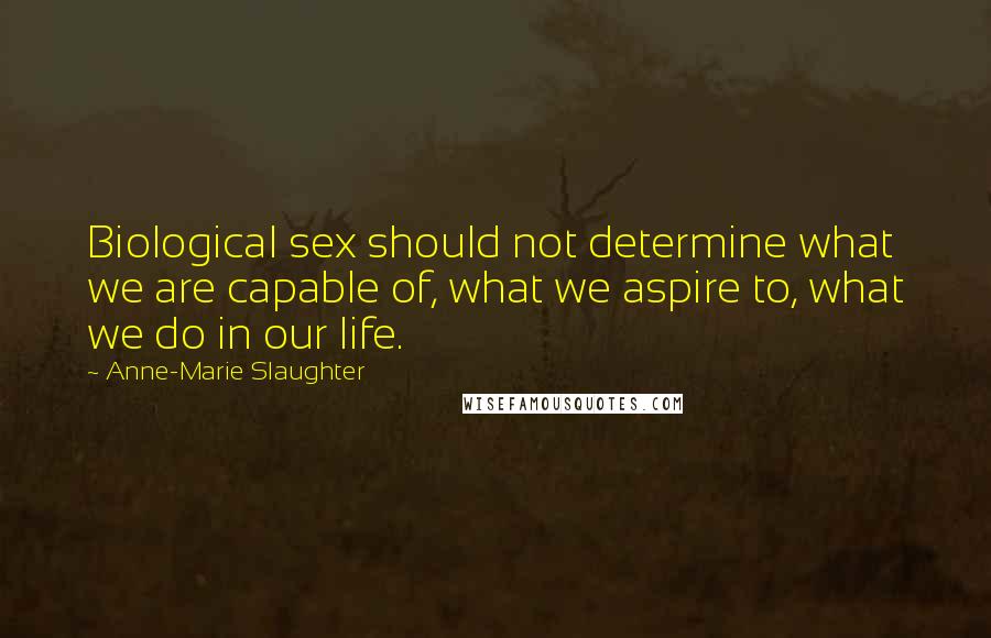 Anne-Marie Slaughter Quotes: Biological sex should not determine what we are capable of, what we aspire to, what we do in our life.