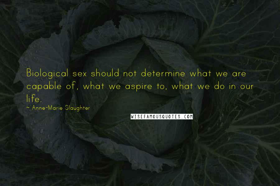 Anne-Marie Slaughter Quotes: Biological sex should not determine what we are capable of, what we aspire to, what we do in our life.