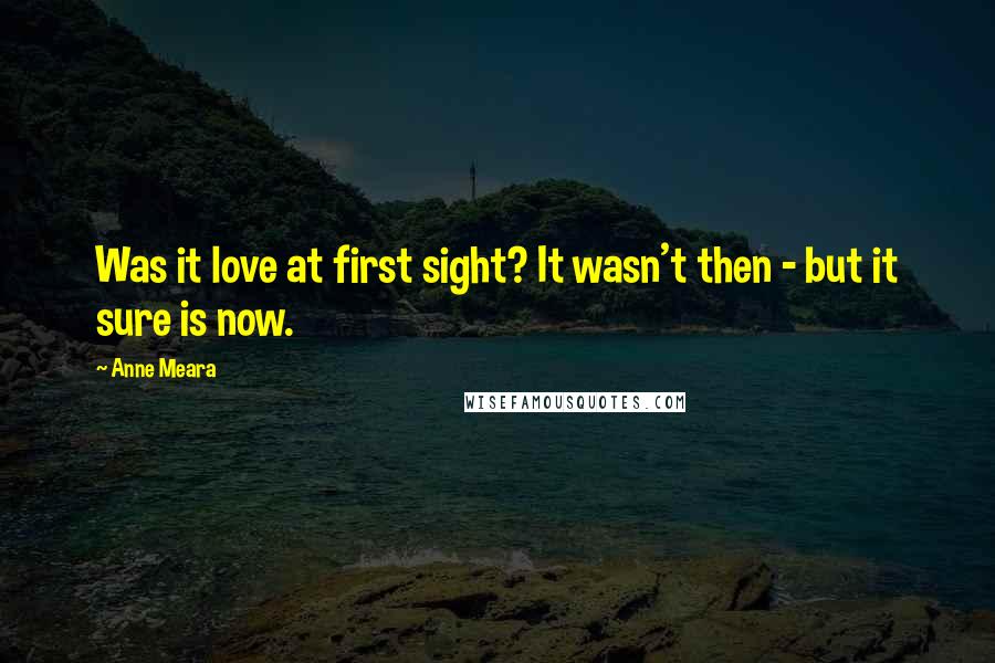 Anne Meara Quotes: Was it love at first sight? It wasn't then - but it sure is now.