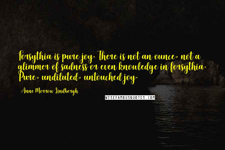 Anne Morrow Lindbergh Quotes: Forsythia is pure joy. There is not an ounce, not a glimmer of sadness or even knowledge in forsythia. Pure, undiluted, untouched joy.
