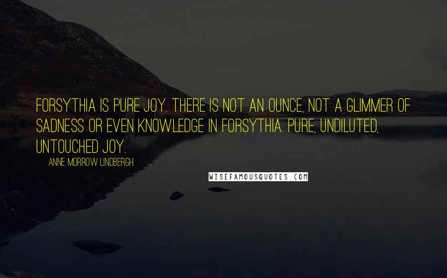 Anne Morrow Lindbergh Quotes: Forsythia is pure joy. There is not an ounce, not a glimmer of sadness or even knowledge in forsythia. Pure, undiluted, untouched joy.