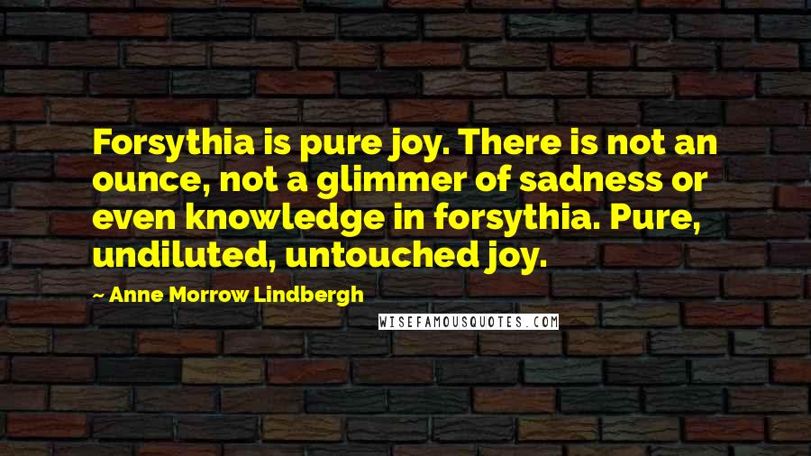 Anne Morrow Lindbergh Quotes: Forsythia is pure joy. There is not an ounce, not a glimmer of sadness or even knowledge in forsythia. Pure, undiluted, untouched joy.