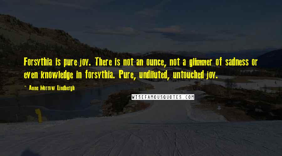 Anne Morrow Lindbergh Quotes: Forsythia is pure joy. There is not an ounce, not a glimmer of sadness or even knowledge in forsythia. Pure, undiluted, untouched joy.