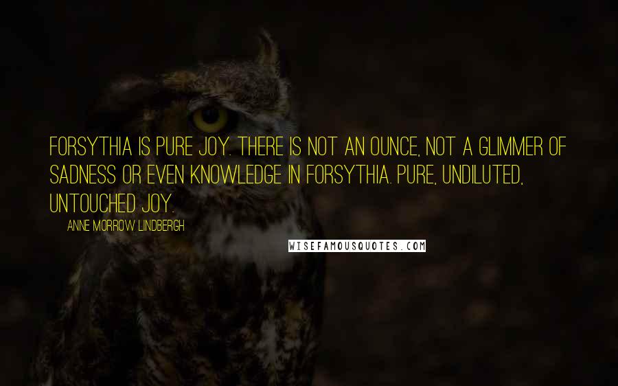 Anne Morrow Lindbergh Quotes: Forsythia is pure joy. There is not an ounce, not a glimmer of sadness or even knowledge in forsythia. Pure, undiluted, untouched joy.