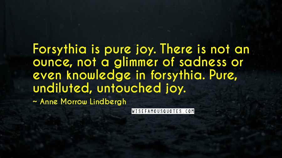 Anne Morrow Lindbergh Quotes: Forsythia is pure joy. There is not an ounce, not a glimmer of sadness or even knowledge in forsythia. Pure, undiluted, untouched joy.