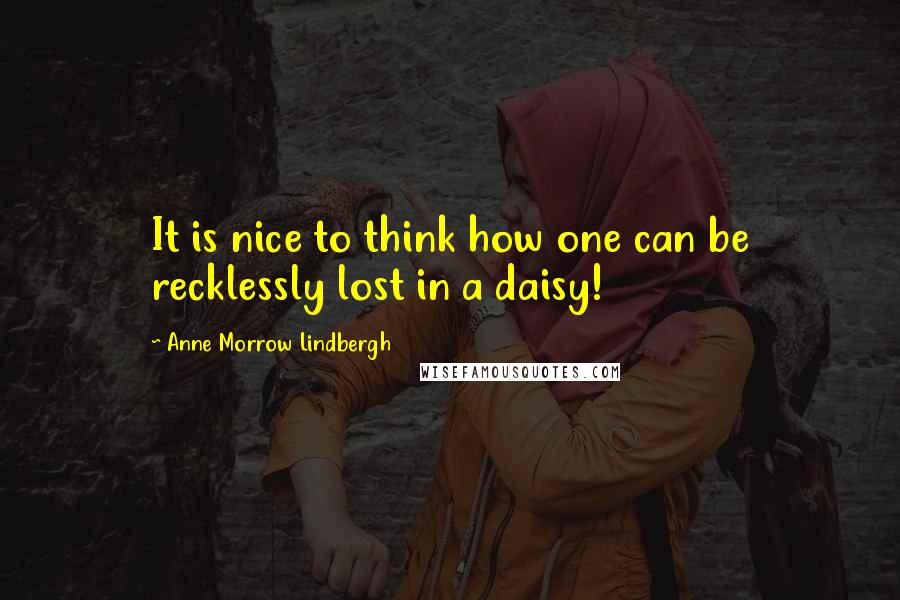 Anne Morrow Lindbergh Quotes: It is nice to think how one can be recklessly lost in a daisy!