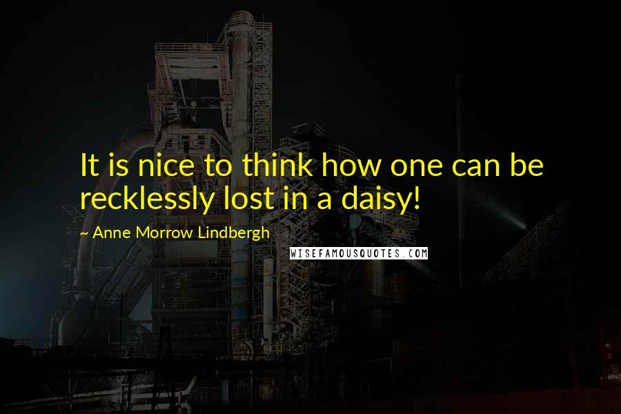 Anne Morrow Lindbergh Quotes: It is nice to think how one can be recklessly lost in a daisy!