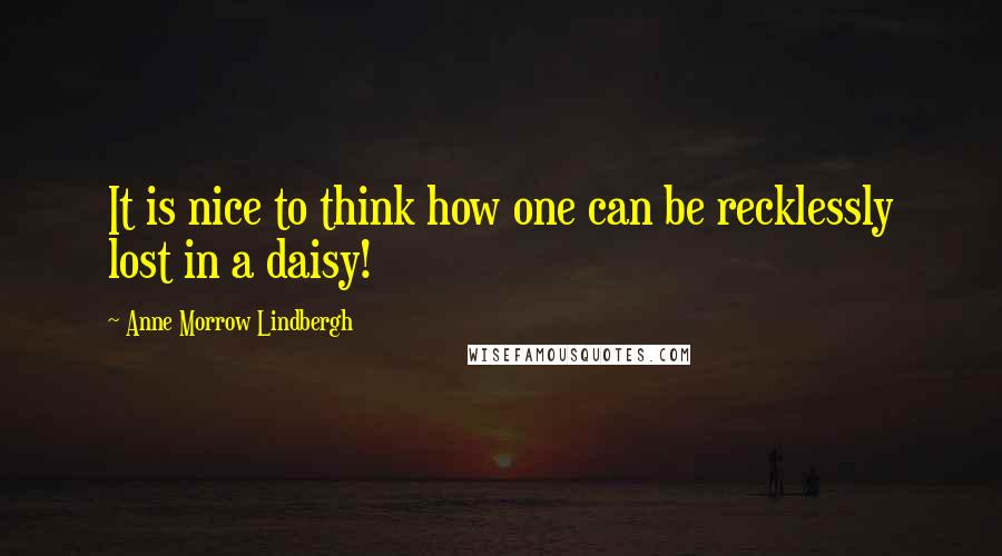 Anne Morrow Lindbergh Quotes: It is nice to think how one can be recklessly lost in a daisy!