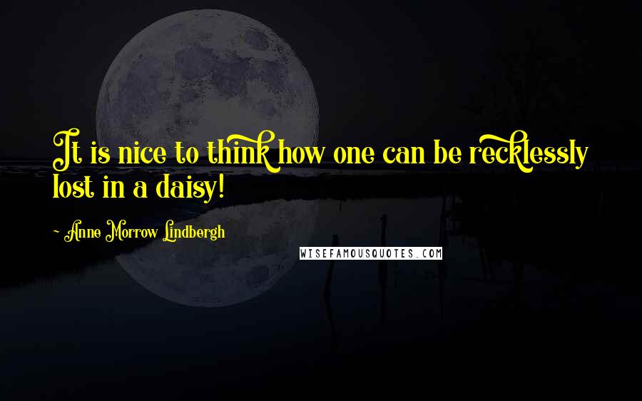 Anne Morrow Lindbergh Quotes: It is nice to think how one can be recklessly lost in a daisy!