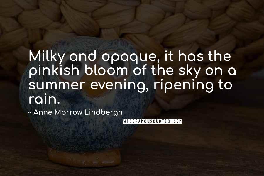 Anne Morrow Lindbergh Quotes: Milky and opaque, it has the pinkish bloom of the sky on a summer evening, ripening to rain.